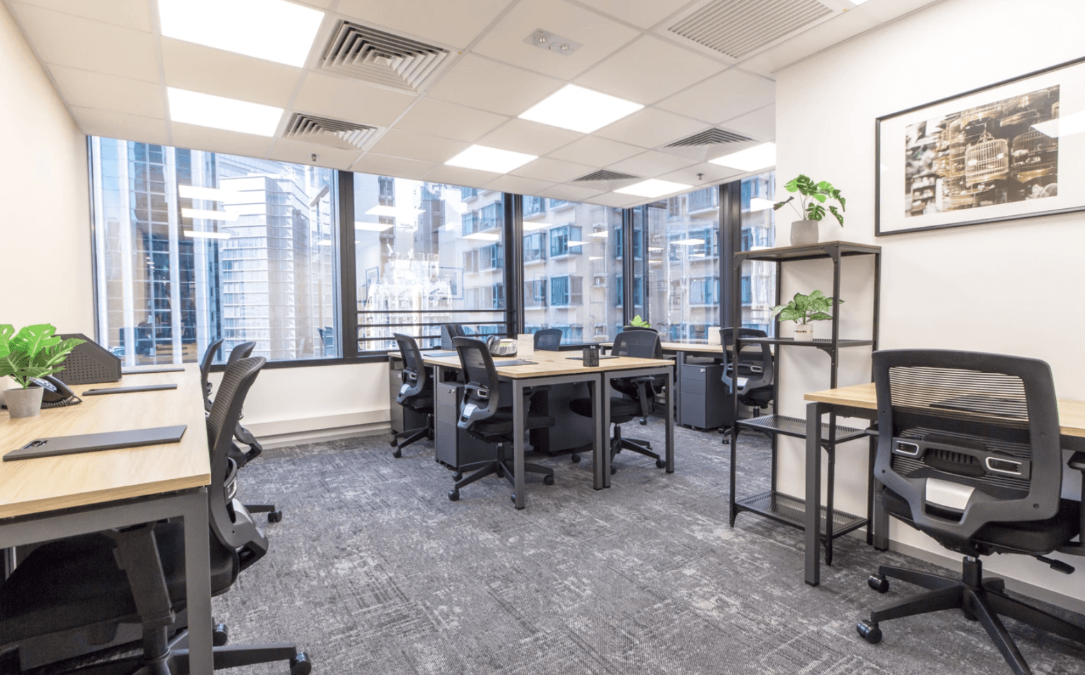 Modern shared office with ergonomic chairs, large windows, and city views in a coworking space